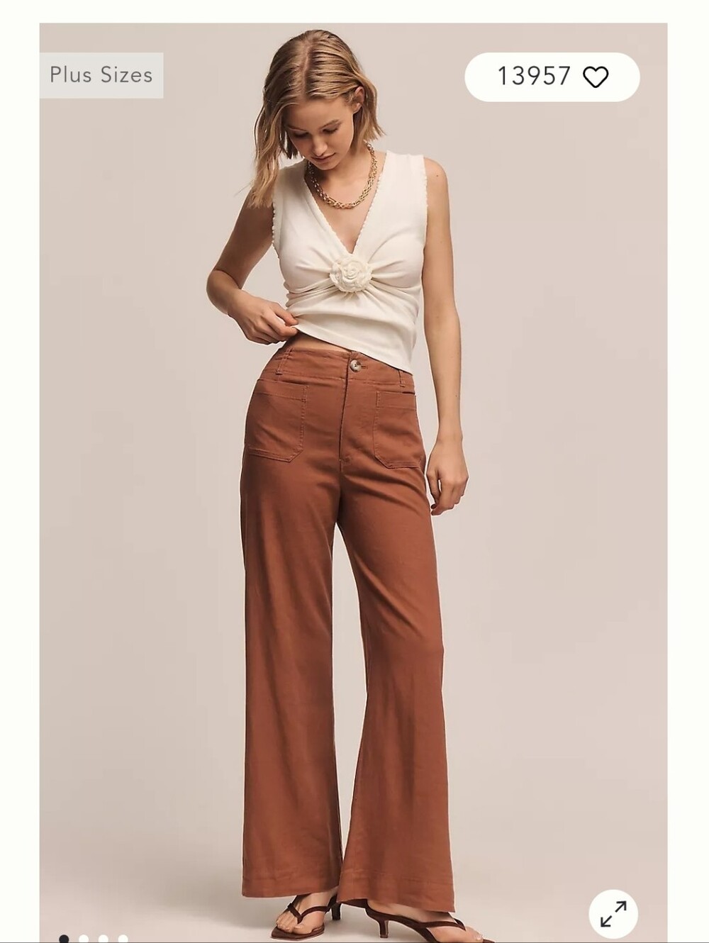High-Rise Wide-Leg Pants in Rust - Women